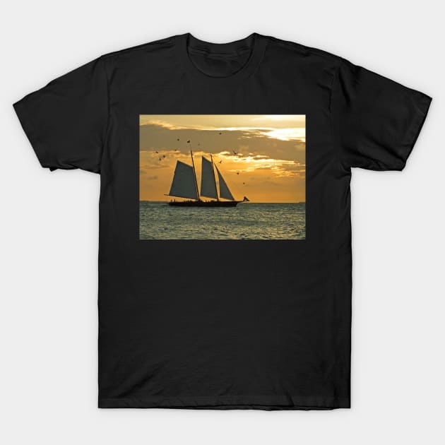 Sailing at sunset T-Shirt by Ludwig Wagner